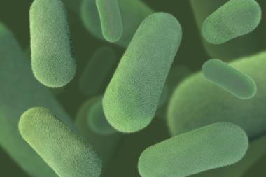 Генномодифицированная бактерия кишечной палочки способна производить фторполимер